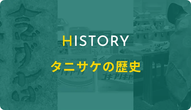 タニサケの歴史